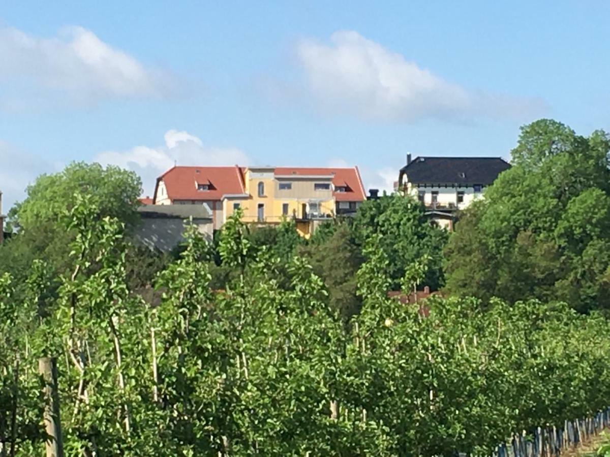 Ferienwohnung Zum Saaletalblick Naumburg  Ngoại thất bức ảnh